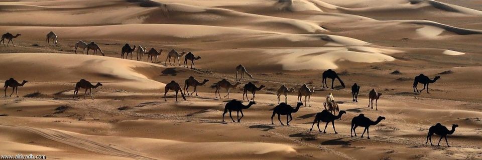 AlAzdi01's profile banner image