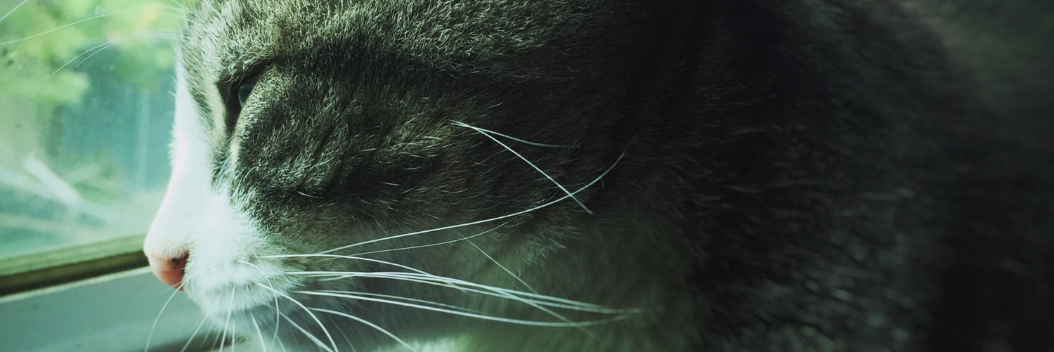 symagu's profile banner image
