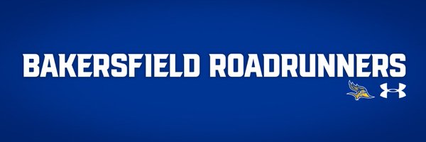 csub_wbb Profile Banner