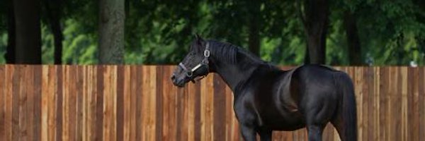 DebsLouK Profile Banner