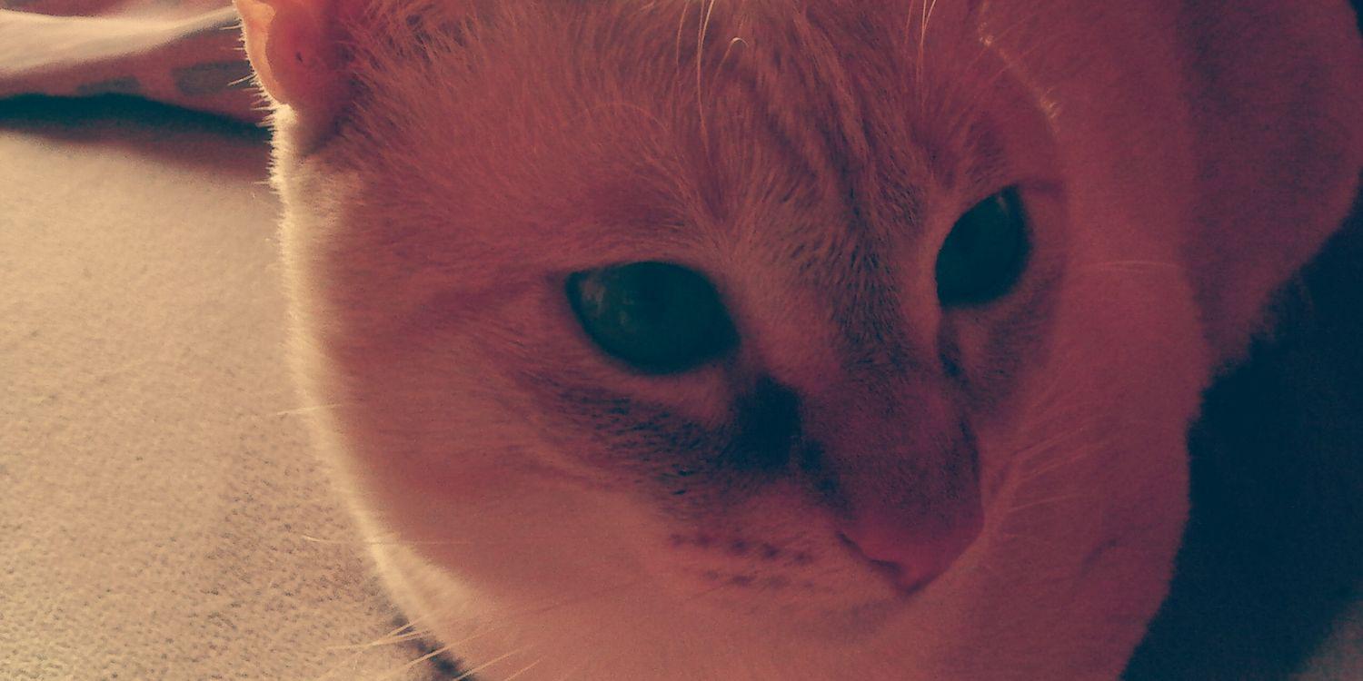 Youshookme__'s profile banner image