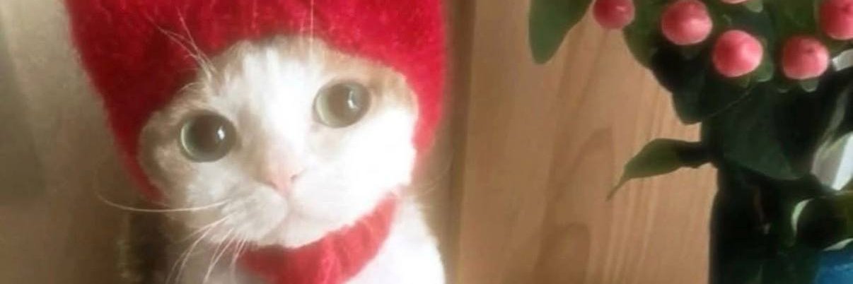 alyxanax's profile banner image