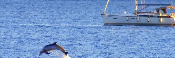 IvanLMNE Profile Banner