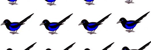 Piebleu 🇨🇵 banner
