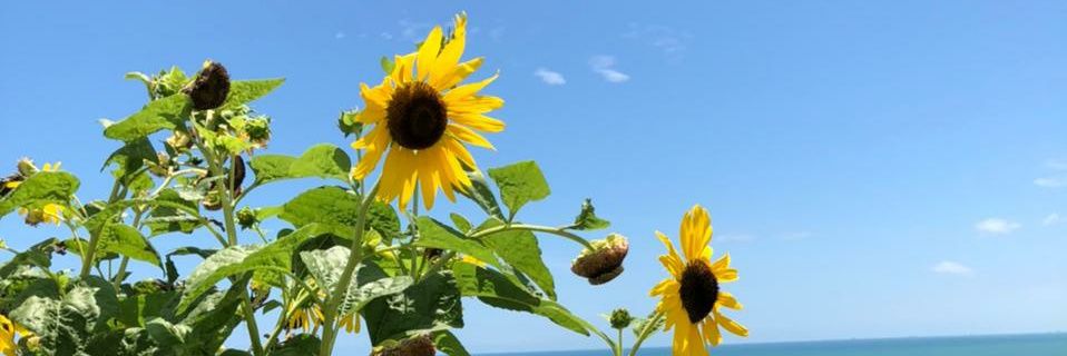 SalhuaSper's profile banner image