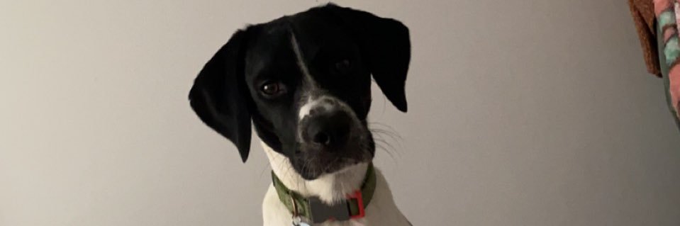 AmbeerBeasley's profile banner image