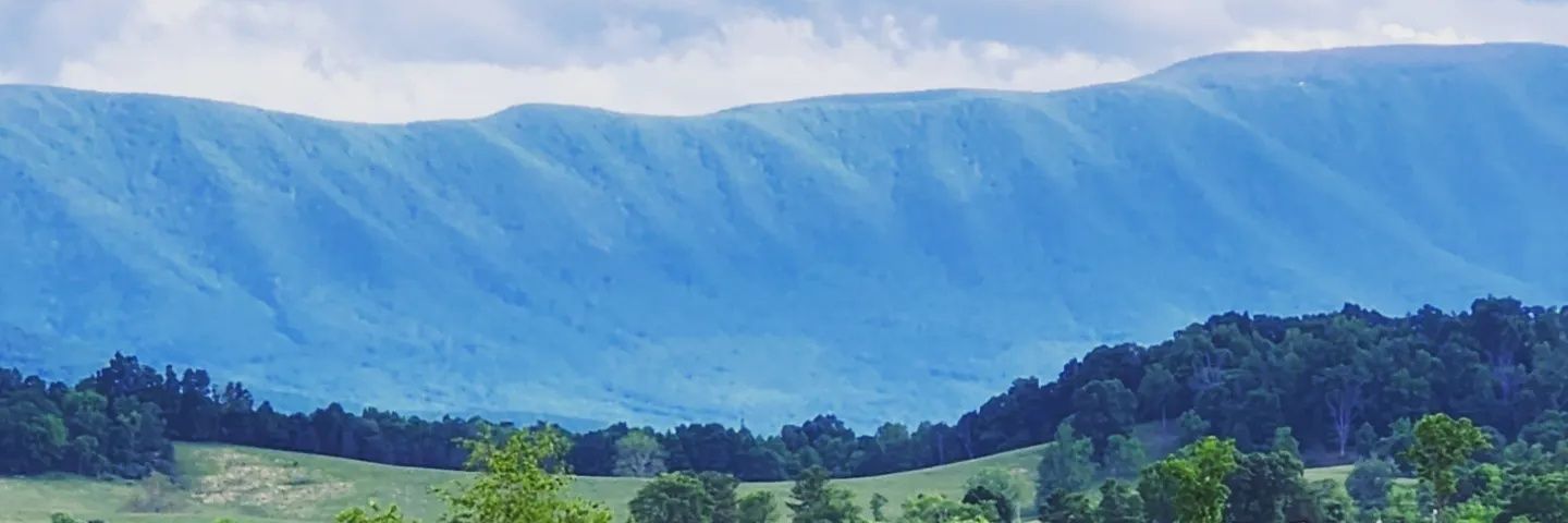 staceylynnboyd's profile banner image