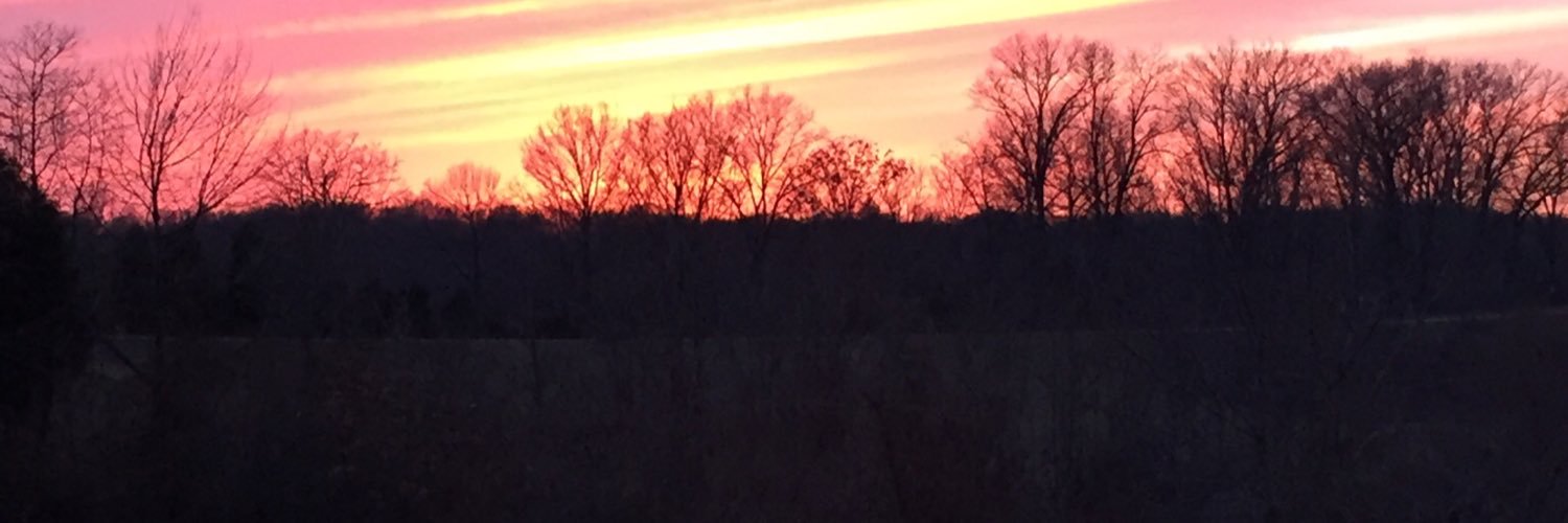 beth_shoulders's profile banner image