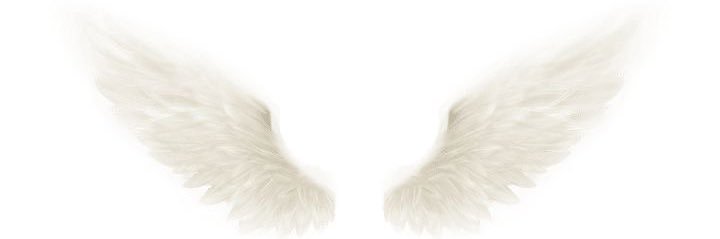 JsyRodrigues's profile banner image