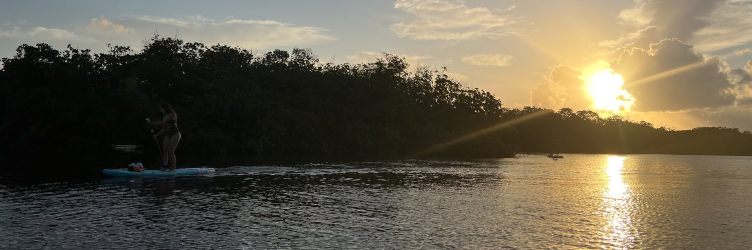 mariapsaade's profile banner image