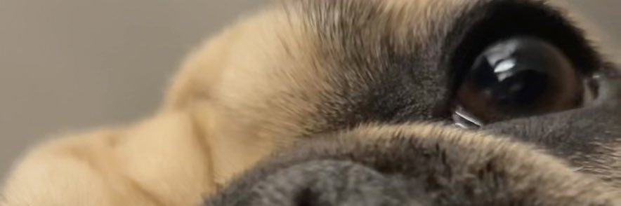 Mad_Klin's profile banner image