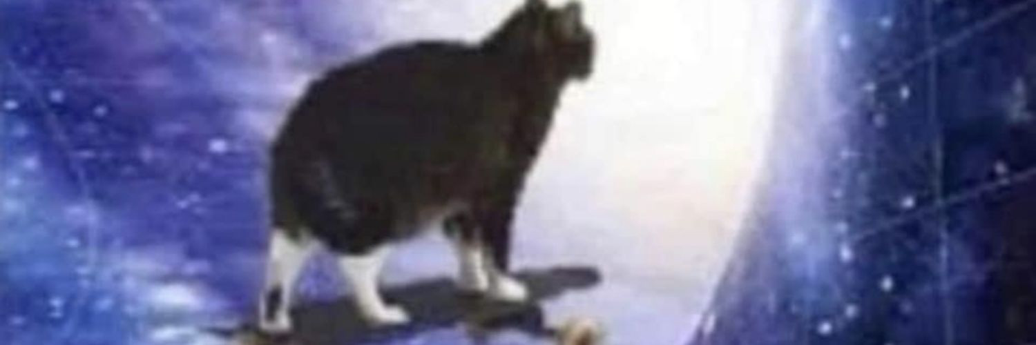 nathan__collier's profile banner image