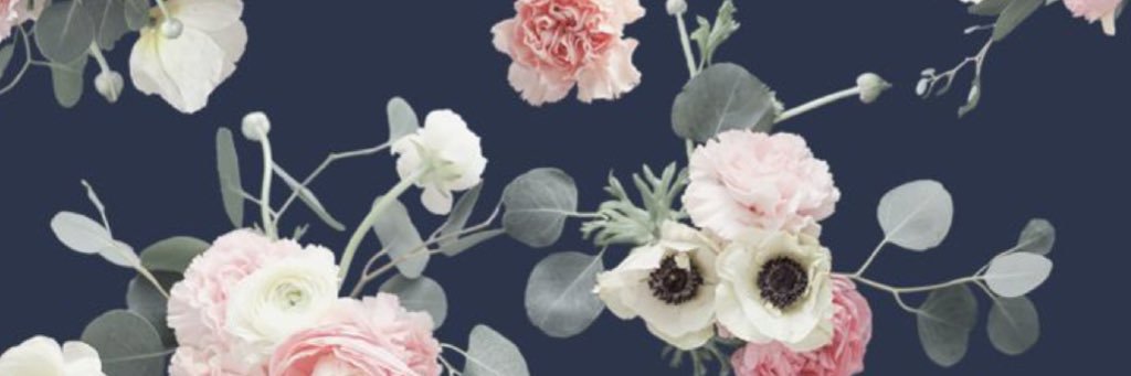 HaleyParmer's profile banner image