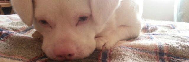 Huni_marie's profile banner image
