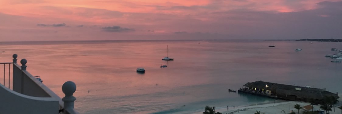 allisonwentz's profile banner image
