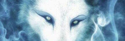 AFSKXC's profile banner image