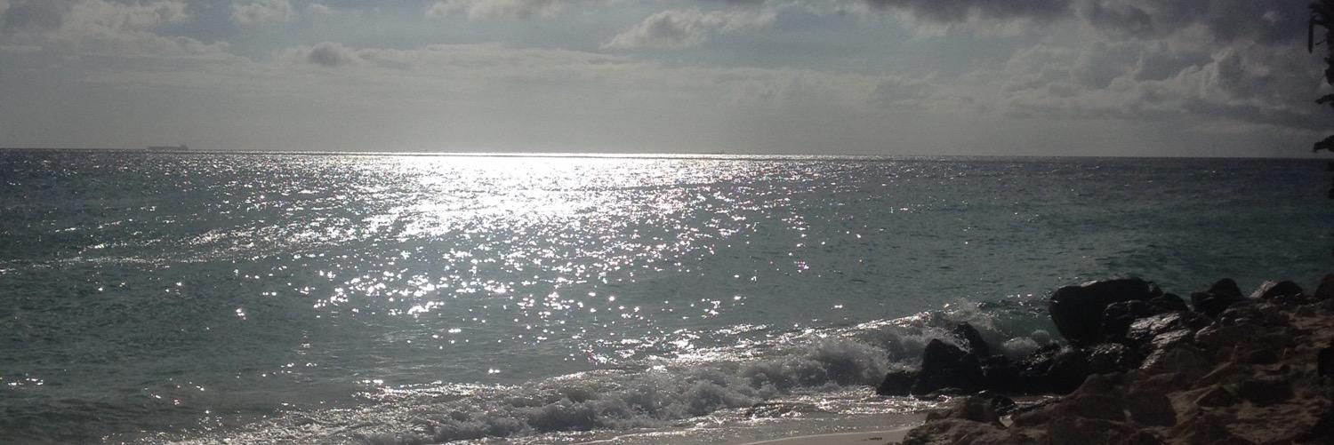 falicia07's profile banner image