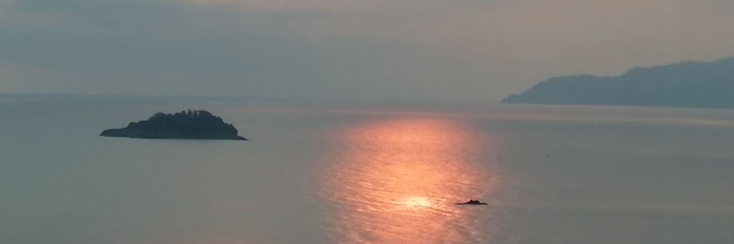 AlperTamer's profile banner image