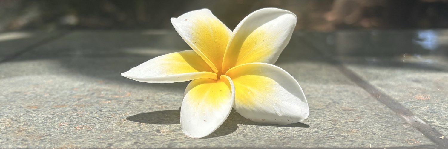 sofiacatiari's profile banner image