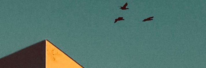vjkirin's profile banner image