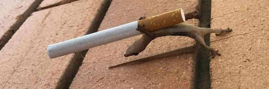 paul_flamb's profile banner image