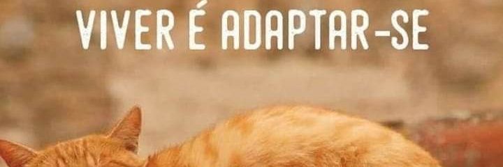 ElysBahia's profile banner image