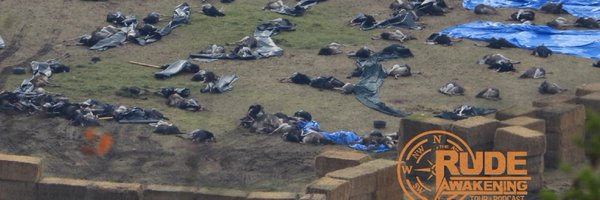 Nancy_A_L Profile Banner