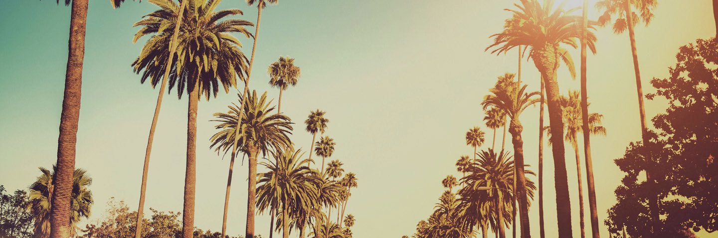 ChaseMannila's profile banner image