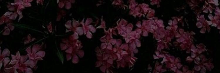 ebtsam0304's profile banner image