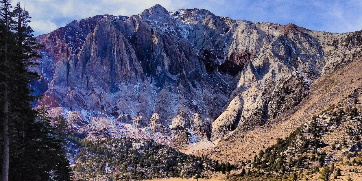 WildReetz's profile banner image