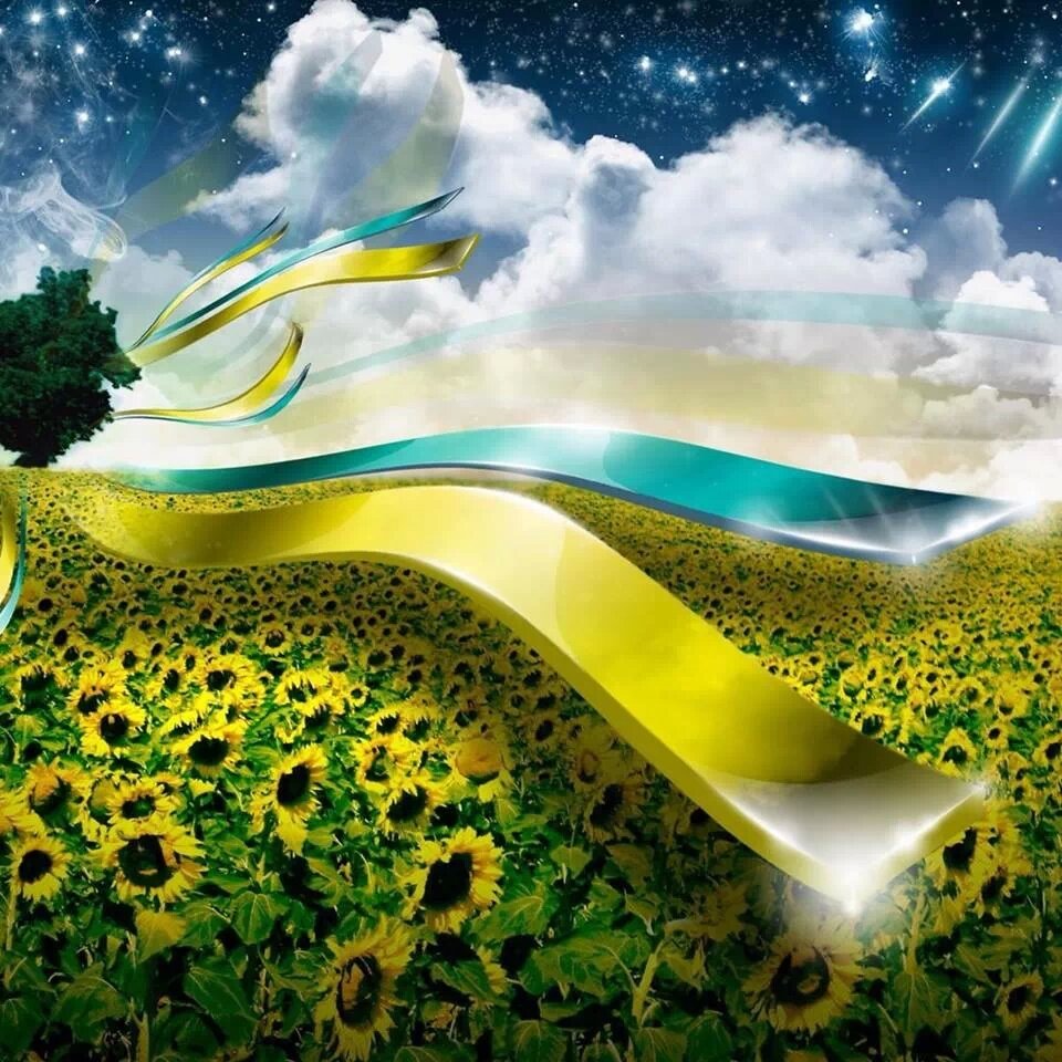 NattyIsles's profile banner image