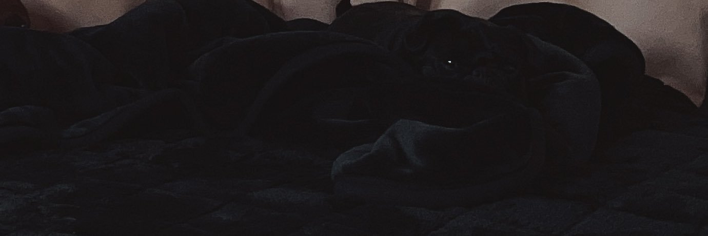 h445y015's profile banner image