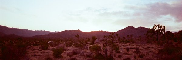 thereisafox Profile Banner