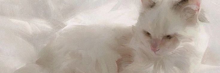 _ouceuponatime's profile banner image
