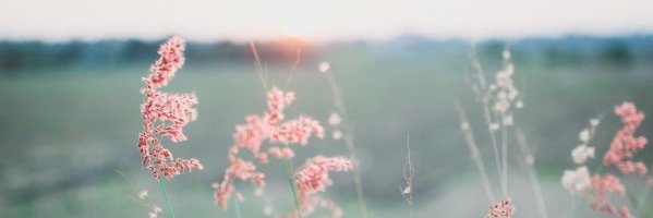 BloggingGems's profile banner image