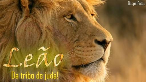 jefjulio1's profile banner image