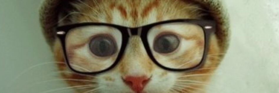 SkepDreff's profile banner image