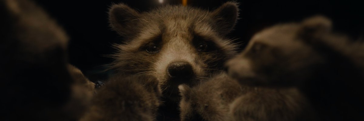 cactusjoao's profile banner image