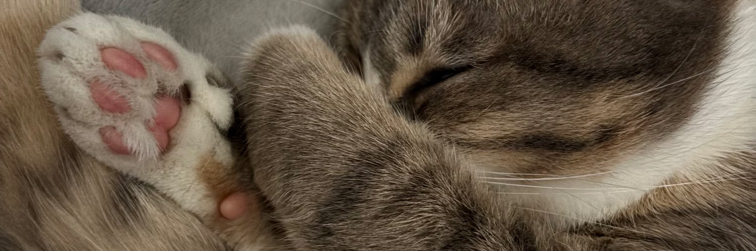 sarahxbdr's profile banner image