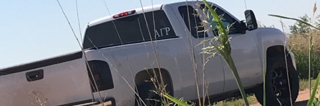 MinkBoot's profile banner image