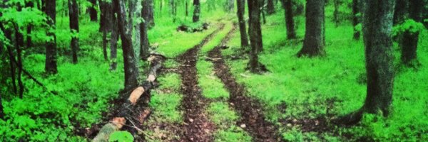 reidbenton Profile Banner