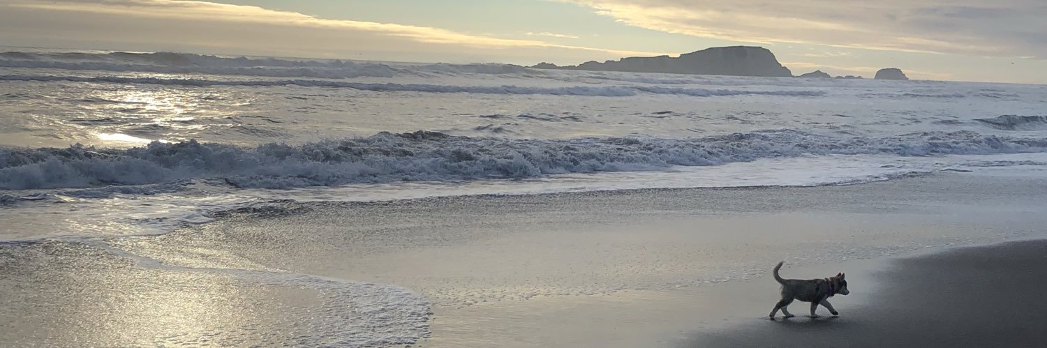 JOGE banner