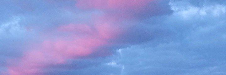 LuciaCarasso's profile banner image