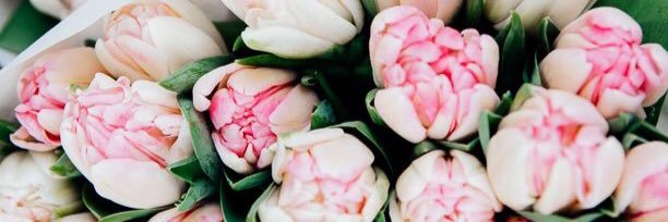 heynaima__'s profile banner image