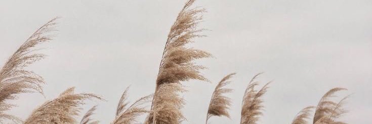 francessbato's profile banner image