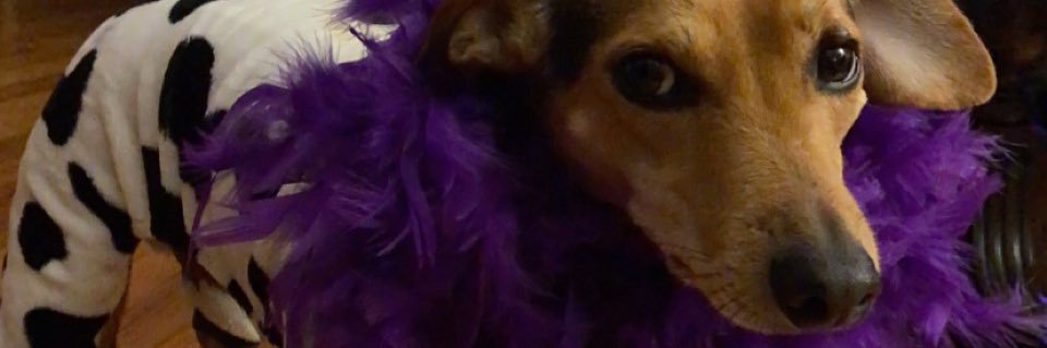 KylieFerrence's profile banner image