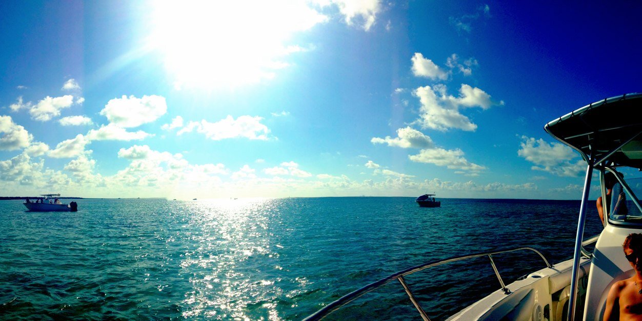 daniilevitt's profile banner image