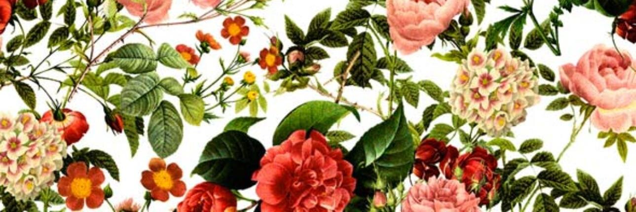 JessAryn's profile banner image