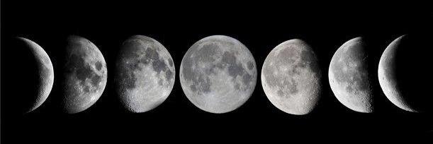 Fedra Luna Sambrán banner