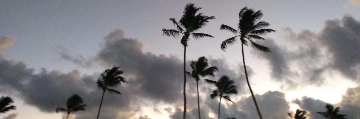 sshds_'s profile banner image